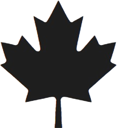 Eco friendly Smartdew Premium Mineral Water Bottle packaging